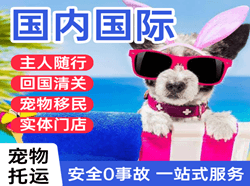 中川机场货运国际宠物托运 【国